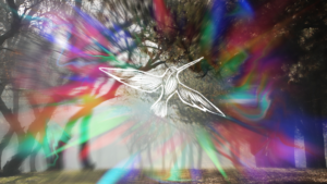 Rainbow lens flare around illustrated hummingbird. Background is wooded area with trees.